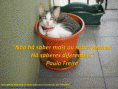/album/galeria-de-fotos/saber-mais-e-menos-gif/